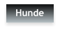 Hunde