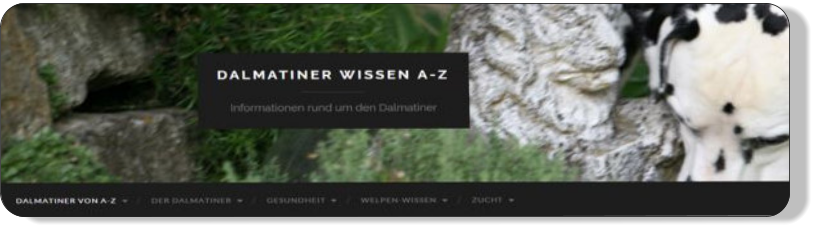dalmatiner-wissen-von-a-bis-z
