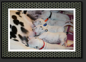 Frühstück - bis zum Schlaf- Koma.